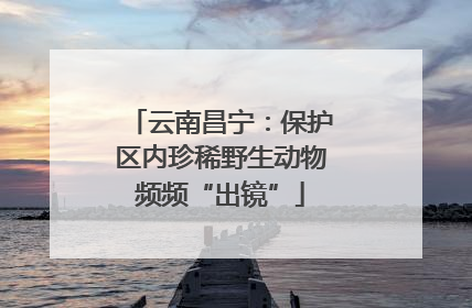 云南昌宁：保护区内珍稀野生动物频频“出镜”