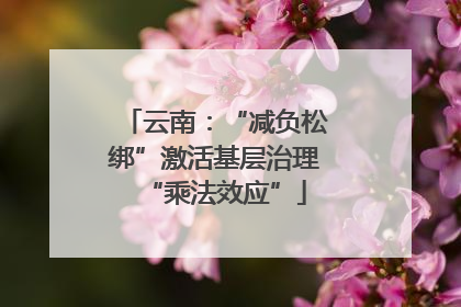 云南：“减负松绑”激活基层治理“乘法效应”