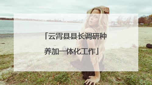 云霄县县长调研种养加一体化工作