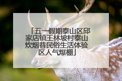 五一假期泰山区邱家店镇王林坡村泰山炊烟巷民俗生活体验区人气爆棚