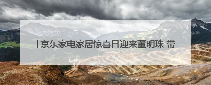 京东家电家居惊喜日迎来董明珠 带动空调品类销量同比增长100%