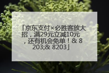 京东支付×必胜客放大招，满29元立减10元，还有机会免单！& 8203;& 8203