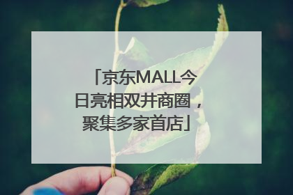 京东MALL今日亮相双井商圈，聚集多家首店