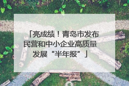 亮成绩！青岛市发布民营和中小企业高质量发展“半年报”