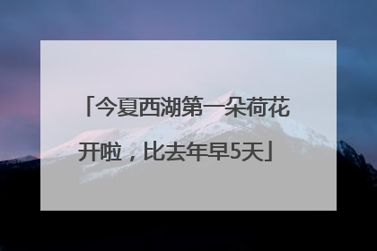 今夏西湖第一朵荷花开啦，比去年早5天