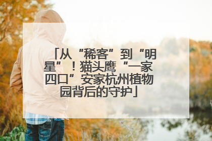 从“稀客”到“明星”！猫头鹰“一家四口”安家杭州植物园背后的守护