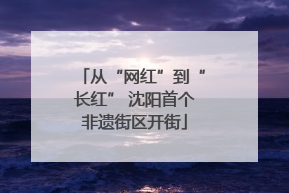 从“网红”到“长红” 沈阳首个非遗街区开街