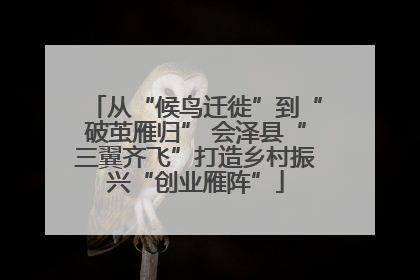 从“候鸟迁徙”到“破茧雁归” 会泽县“三翼齐飞”打造乡村振兴“创业雁阵”