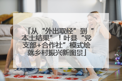 从“外出取经”到“本土结果”！叶县“党支部+合作社”模式绘就乡村振兴新图景