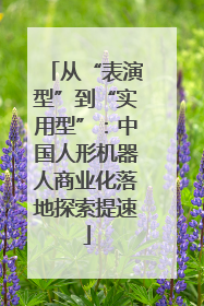 从“表演型”到“实用型”：中国人形机器人商业化落地探索提速