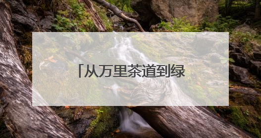 从万里茶道到绿满山乡 安化黑茶的生态致富路