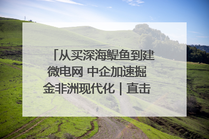 从买深海鳀鱼到建微电网 中企加速掘金非洲现代化｜直击中非经贸博览会