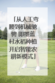 从人工弯腰到机械驰骋 即墨蓝村水稻种植开启智能农耕新模式