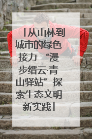 从山林到城市的绿色接力 “漫步缙云·青山驿站”探索生态文明新实践