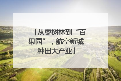 从枣树林到“百果园”，航空新城种出大产业