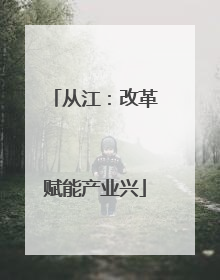从江：改革赋能产业兴