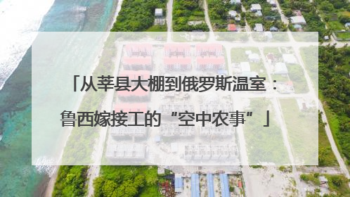 从莘县大棚到俄罗斯温室：鲁西嫁接工的“空中农事”