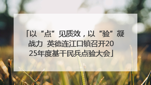 以“点”见质效，以“验”凝战力  英德连江口镇召开2025年度基干民兵点验大会
