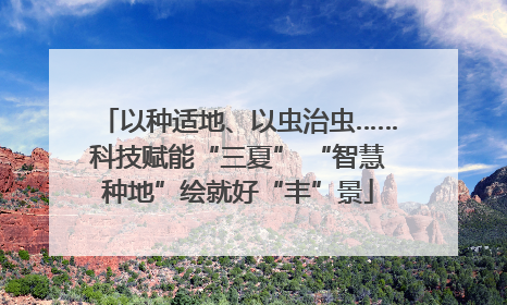 以种适地、以虫治虫……科技赋能“三夏” “智慧种地”绘就好“丰”景