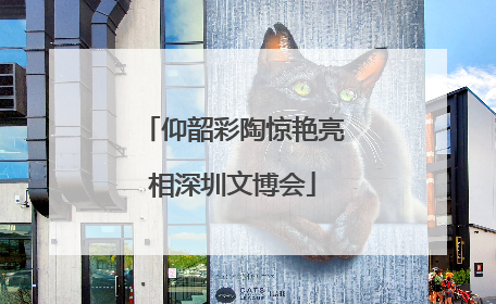 仰韶彩陶惊艳亮相深圳文博会