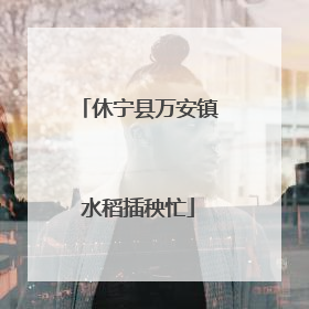 休宁县万安镇水稻插秧忙