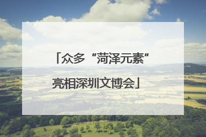 众多“菏泽元素”亮相深圳文博会