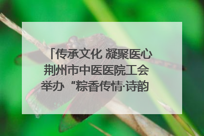 传承文化 凝聚医心 荆州市中医医院工会举办“粽香传情·诗韵端午”系列活动