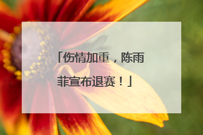 伤情加重，陈雨菲宣布退赛！
