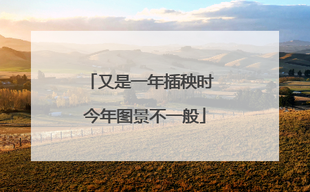 又是一年插秧时 今年图景不一般