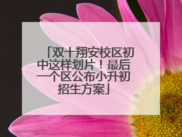 双十翔安校区初中这样划片！最后一个区公布小升初招生方案