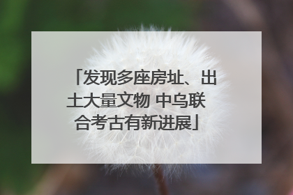发现多座房址、出土大量文物 中乌联合考古有新进展