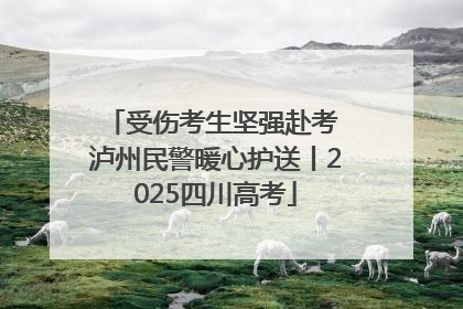 受伤考生坚强赴考 泸州民警暖心护送丨2025四川高考