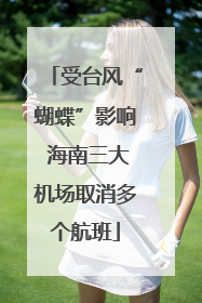 受台风“蝴蝶”影响 海南三大机场取消多个航班