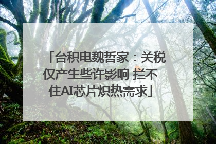 台积电魏哲家：关税仅产生些许影响 拦不住AI芯片炽热需求
