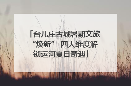 台儿庄古城暑期文旅“焕新” 四大维度解锁运河夏日奇遇