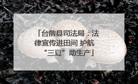 台前县司法局：法律宣传进田间 护航“三夏”助生产