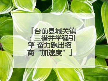 台前县城关镇：三措并举强引擎 奋力跑出招商“加速度”