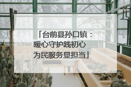台前县孙口镇：暖心守护践初心 为民服务显担当