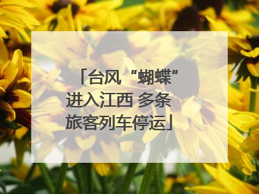 台风“蝴蝶”进入江西 多条旅客列车停运