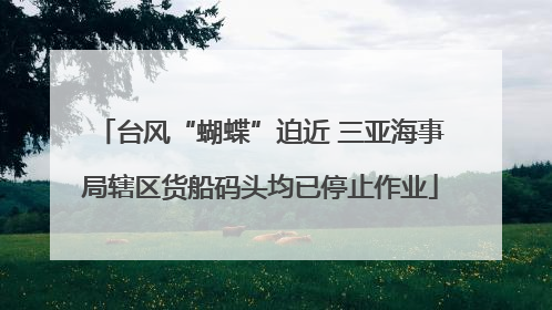 台风“蝴蝶”迫近 三亚海事局辖区货船码头均已停止作业