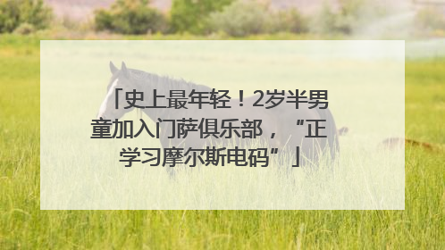 史上最年轻！2岁半男童加入门萨俱乐部，“正学习摩尔斯电码”