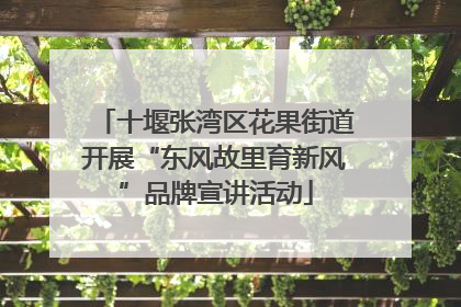 十堰张湾区花果街道开展“东风故里育新风”品牌宣讲活动