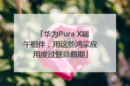 华为Pura X端午相伴，用这些鸿蒙应用度过惬意假期