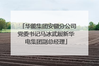 华能集团安徽分公司党委书记马冰武履新华电集团副总经理