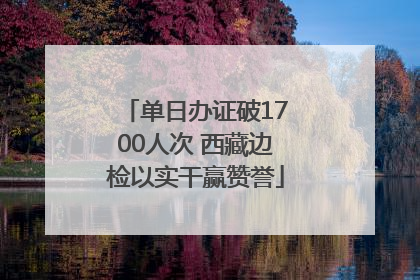 单日办证破1700人次 西藏边检以实干赢赞誉