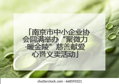 南京市中小企业协会圆满举办“聚微力·暖金陵”慈善献爱心暨义卖活动