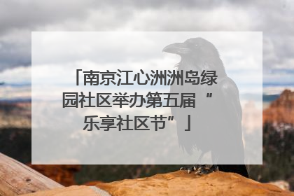 南京江心洲洲岛绿园社区举办第五届“乐享社区节”