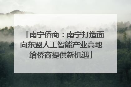 南宁侨商：南宁打造面向东盟人工智能产业高地给侨商提供新机遇