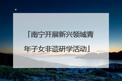 南宁开展新兴领域青年子女非遗研学活动