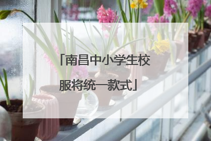 南昌中小学生校服将统一款式